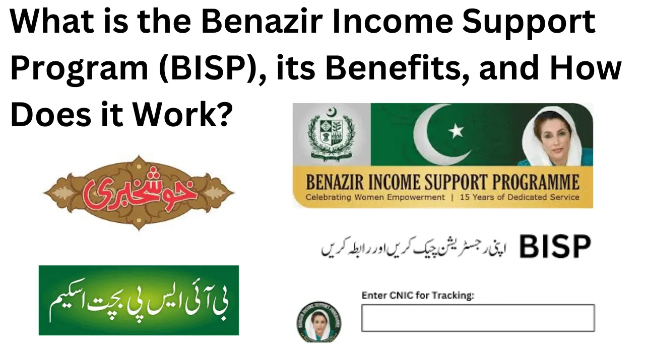 What is the Benazir Income Support Program (BISP), its Benefits, and How Does it Work?