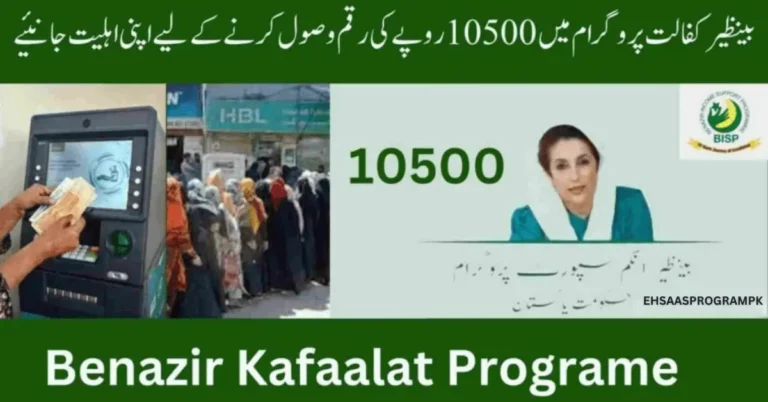 Financial Assistance under Benazir Kafaalat